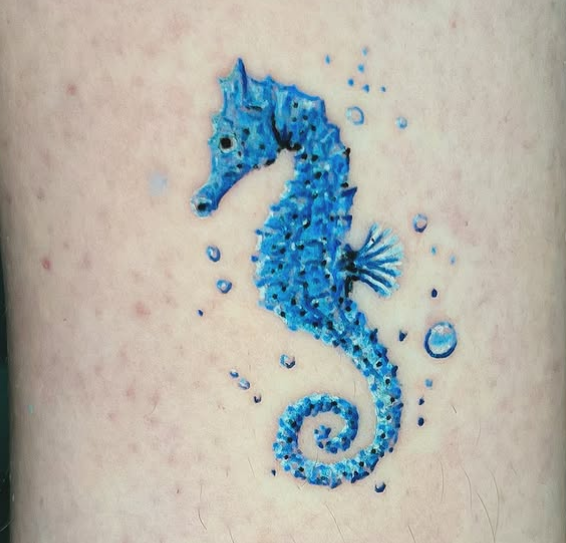 Cavalo-Marinho Azul